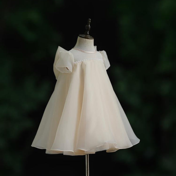 Baby Girl Birthday Princess Dress Flower Girl Wedding Dress