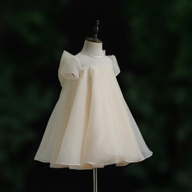Baby Girl Birthday Princess Dress Flower Girl Wedding Dress