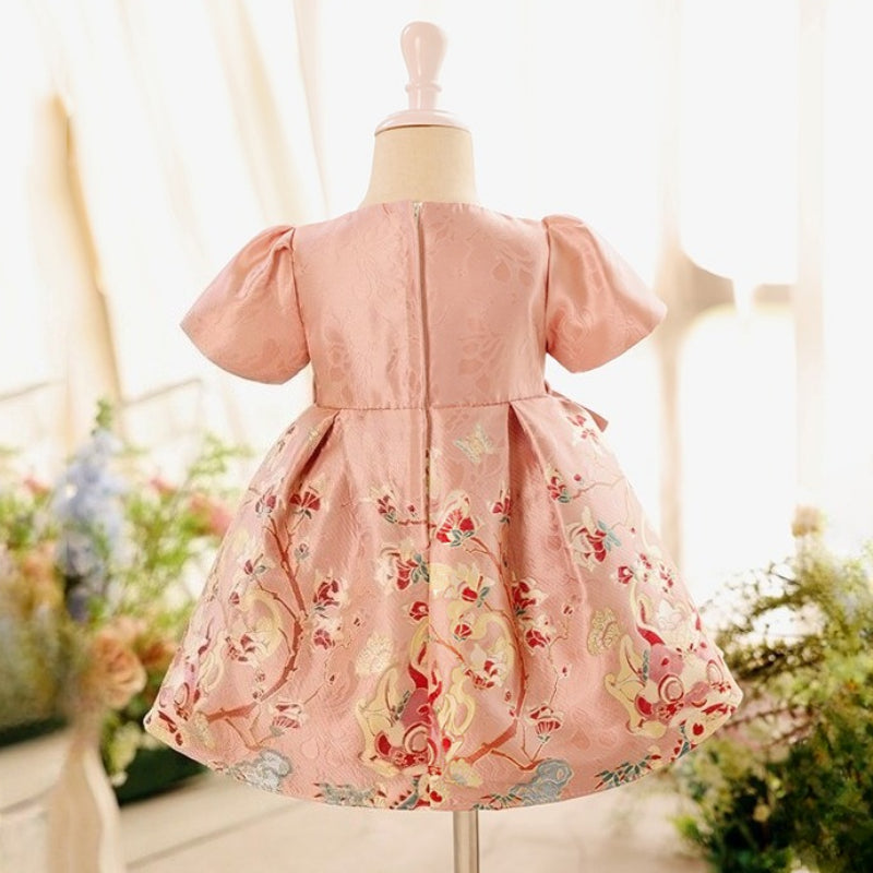 Baby Birthday Princess Dress Girls Party Dress Girls Communion Dress