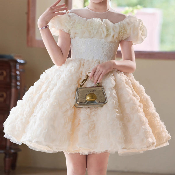 Girls Birthday Dress Children's Communion Dress Girl Party Princess Dress