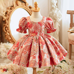 Baby Girl Sweet Embroidered Princess Dress