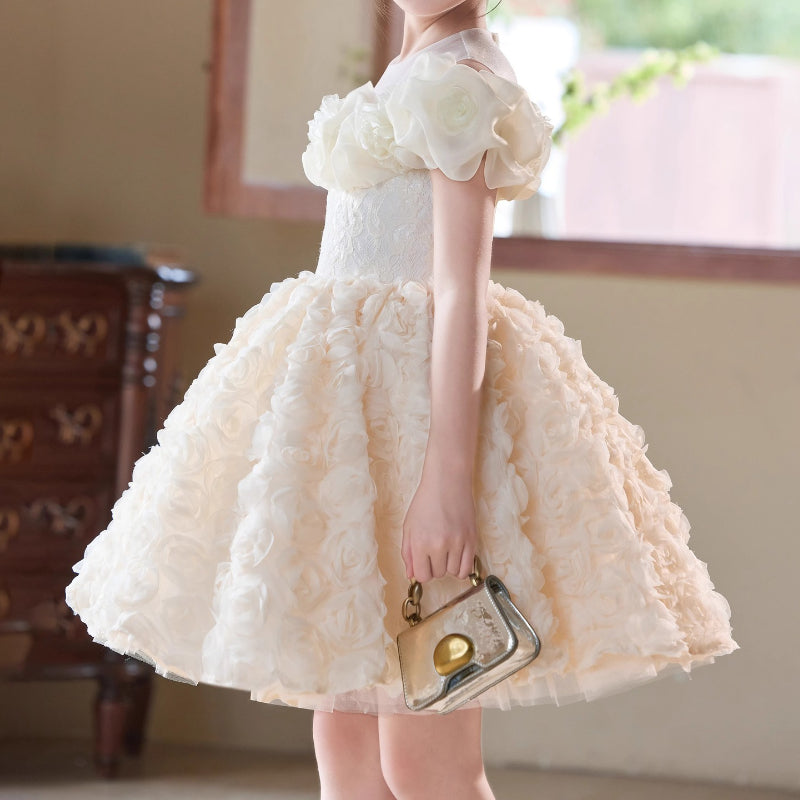 Girls Birthday Dress Children's Communion Dress Girl Party Princess Dress