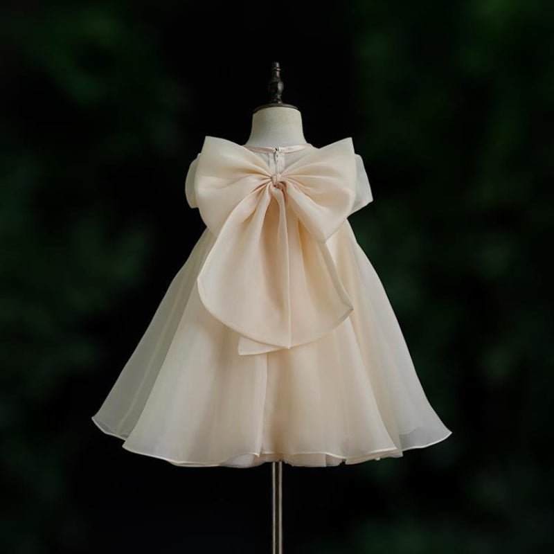 Baby Girl Birthday Princess Dress Flower Girl Wedding Dress