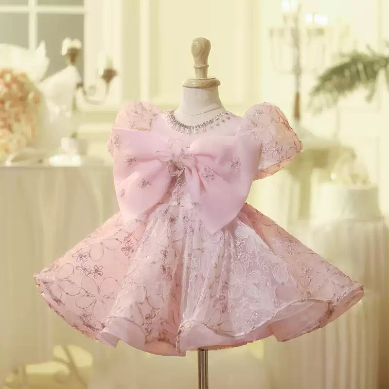 Pink Girl Birthday Princess Dress Flower Girl Wedding Dress