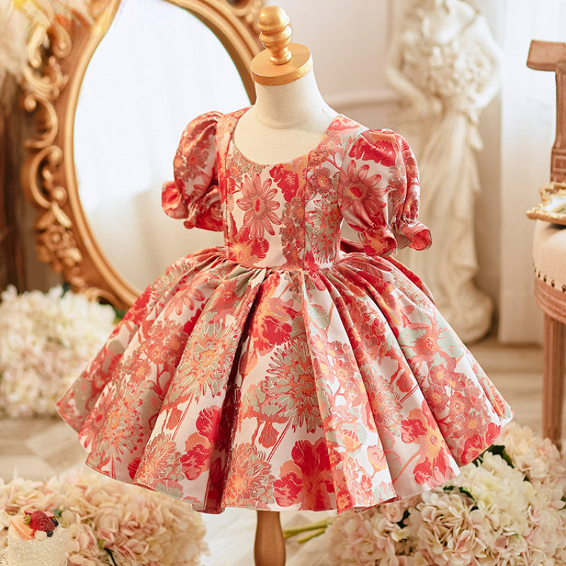 Baby Girl Sweet Embroidered Princess Dress