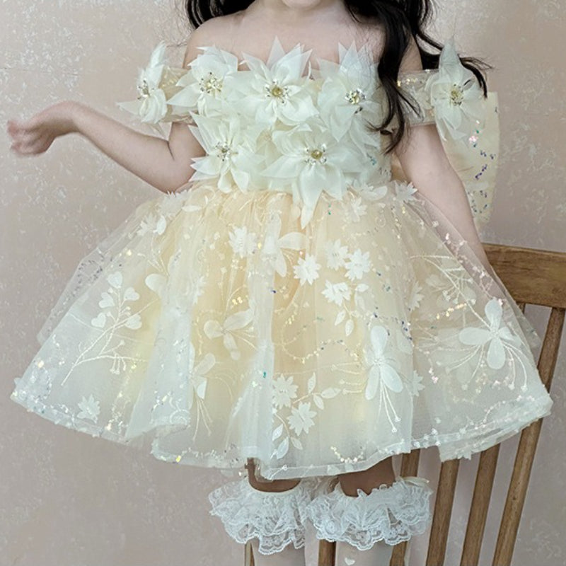 Flower Girl Wedding Dress Girl Birthday Dress Girl Communion Princess Dress