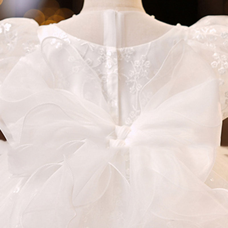 Lace Mesh Puff Sleeve Princess Dress