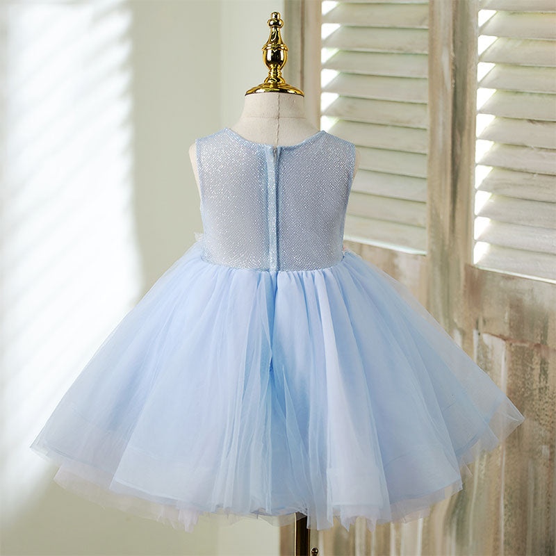 Toddler Prom Dress Girl Embroidery Flower Light Blue Sleeveless Embroidery Party Princess Dress