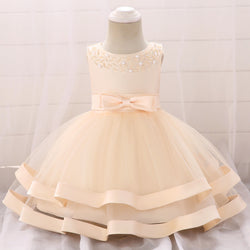 Baby Girl Birthday Party Dress Infant Summer Cozy Embroidery Princess Dress