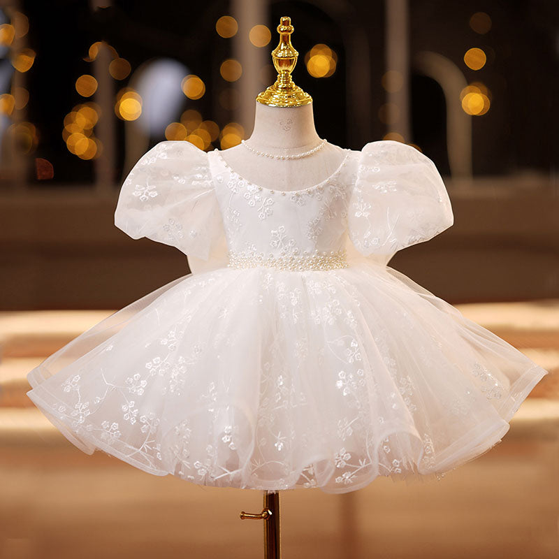 Lace Mesh Puff Sleeve Princess Dress