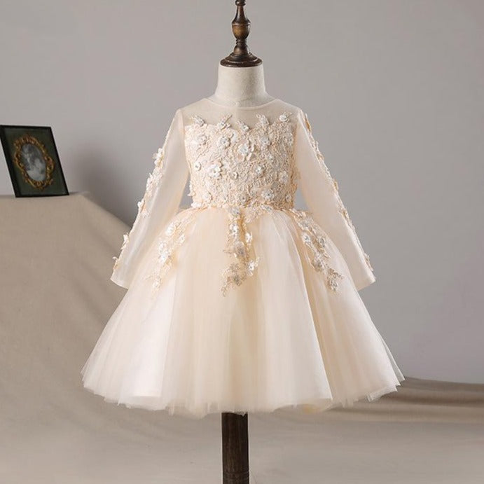 Girls Pageant Dresses Baby Girl Long Sleeve Embroidered Puffy Formal Princess Dress