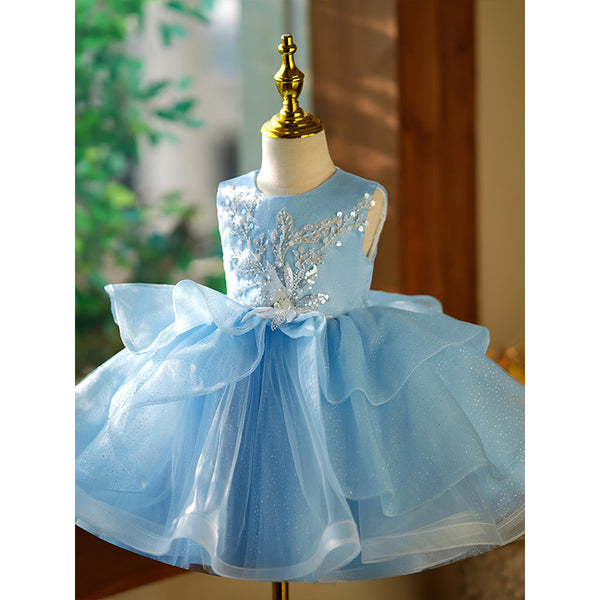 Cute Baby Girl And Toddler Fluffy Birthday Party Princess Dress