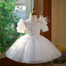 Baby Girl and Toddler Birthday Party Dress Lace Sequin Puffy Princess Dress