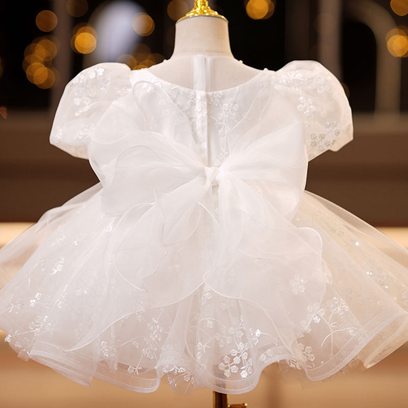Lace Mesh Puff Sleeve Princess Dress