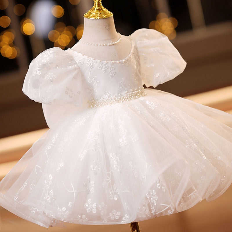 Lace Mesh Puff Sleeve Princess Dress