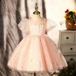 Baby Girl Birthday Party Dresses Girl Summer Pink Puffy Formal Princess Dresses