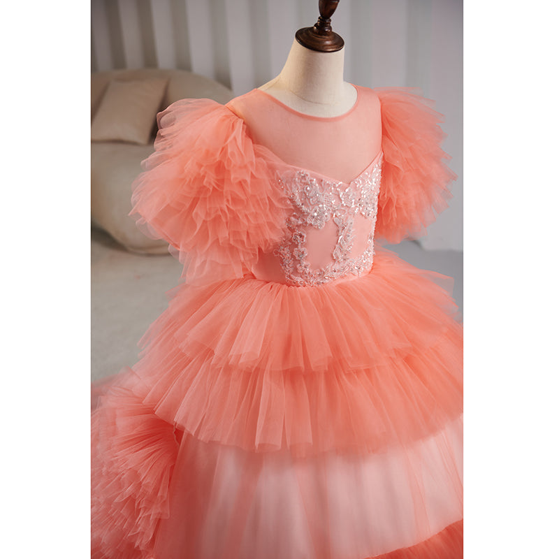 Girl First Communion Little Girl Summer Pink Cake Fluffy Birthday Party Pageant Dress