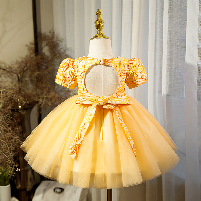 Baby Girl Dress Toddler Ball Gowns Embroidered Flower Fluffy Birthday Party Dress