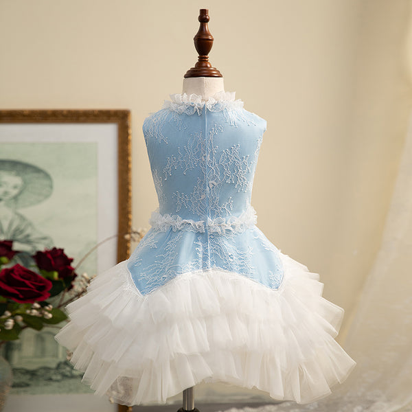 Girl Summer Dress Flower Girl Lace Sleeveless Puffy Birthday Party Cake Dress