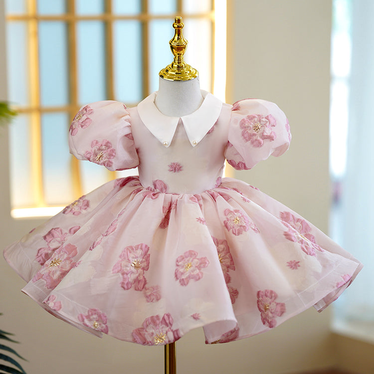 Flower Girl Dress Toddler Prom Flower Embroidered Puff Sleeves Fluffy Princess Dress