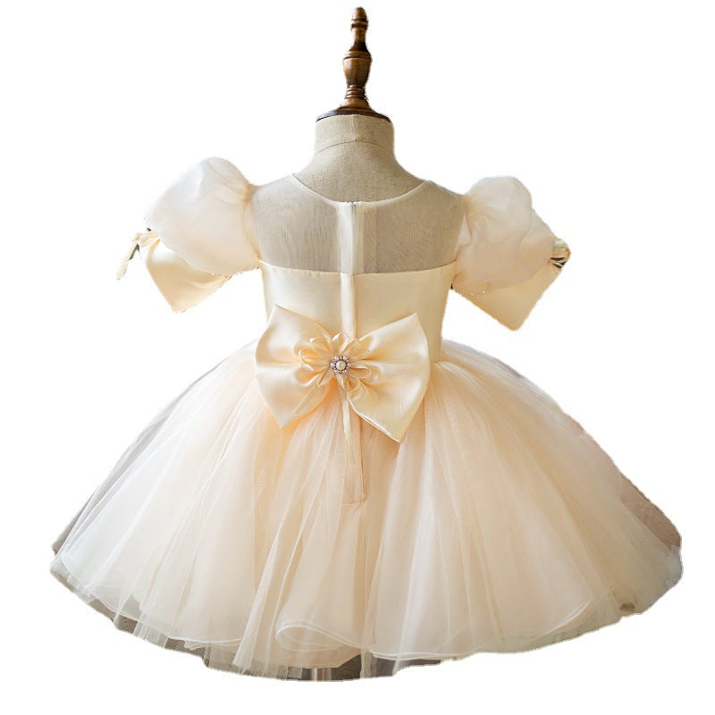 Baby Girl Dress Toddler Puff Sleeves Cute Mesh Flower Girl Dress Princess Dress