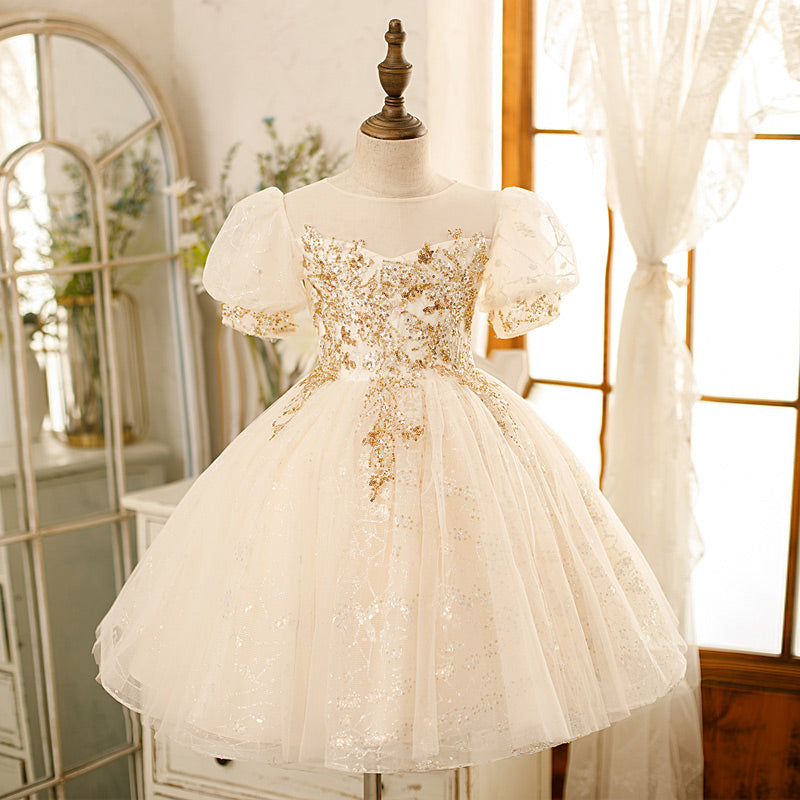 Baby Girl Baptism Dress Girl Elegant Puff Sleeve Sequin Birthday Party Dress