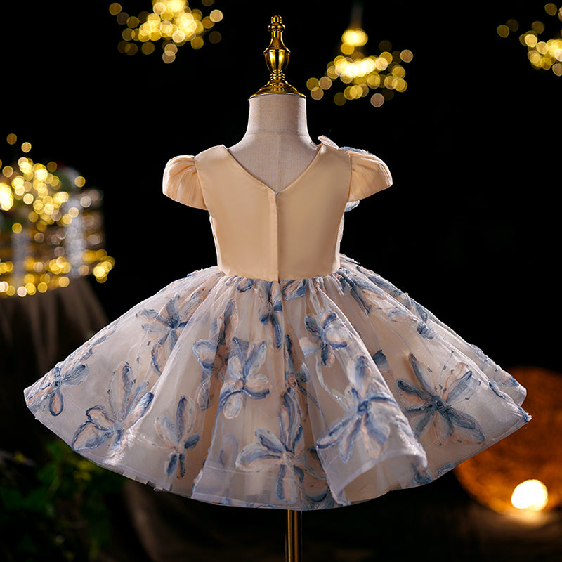 Baby Girl Dream Flower GirlMesh Appliquéd Princess Puffy Dress