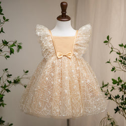 Flower Girl Dress Toddler Small Fly Sleeve Champagne Pageant Princess Dress