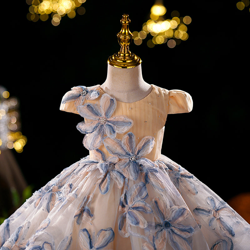 Baby Girl Dream Flower GirlMesh Appliquéd Princess Puffy Dress