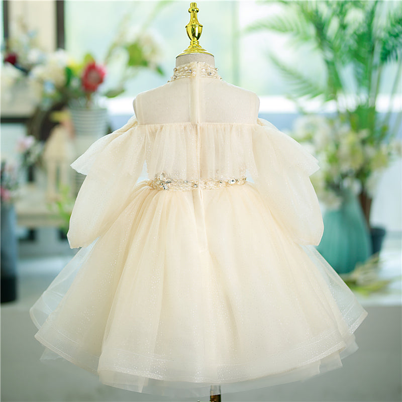 Baby Girl Flower Girl Wedding Princess Dress