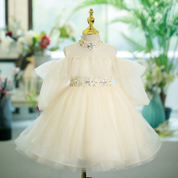 Baby Girl Flower Girl Wedding Princess Dress