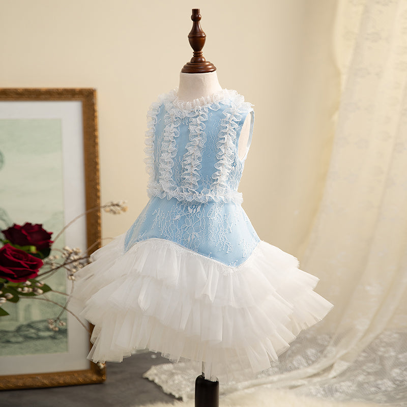 Girl Summer Dress Flower Girl Lace Sleeveless Puffy Birthday Party Cake Dress