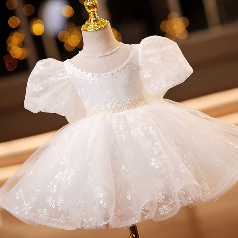 Lace Mesh Puff Sleeve Princess Dress