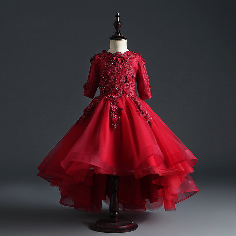 Elegant Floral Lace Puffy Princess Dress
