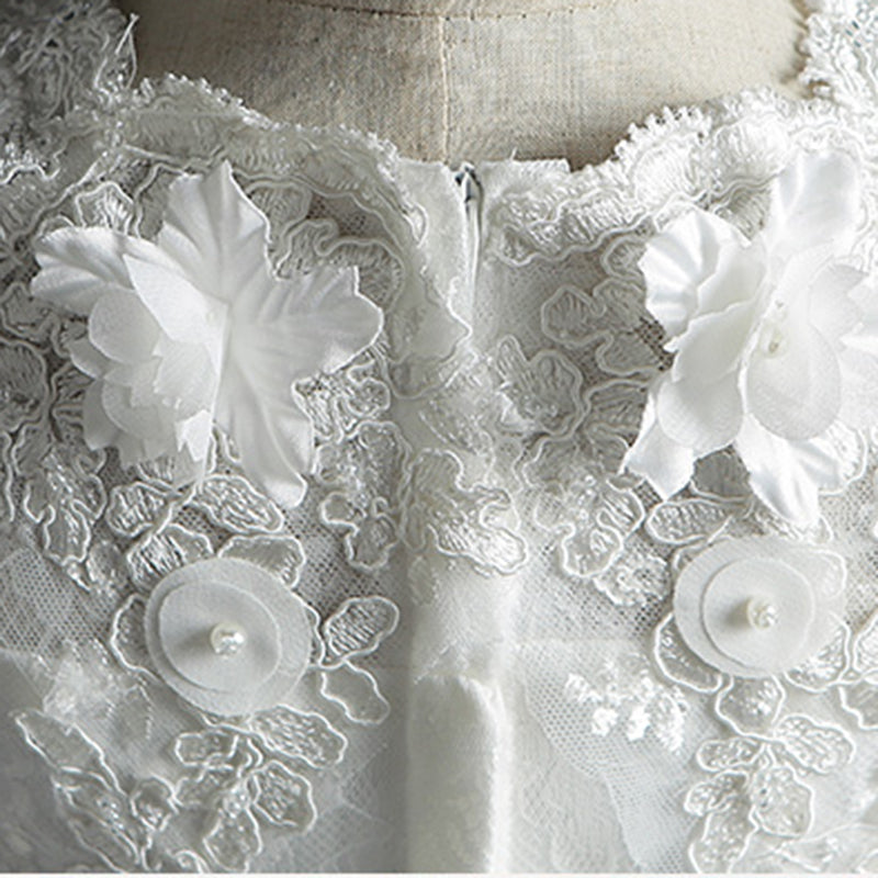 Elegant Floral Lace Puffy Princess Dress
