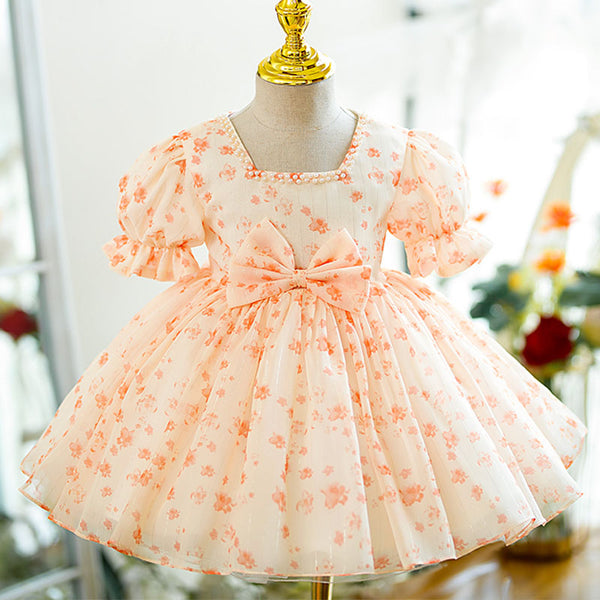 Baby Girl Dress Toddler Prom Easter Embroidered Puff Sleeve Bowknot Princess Dress